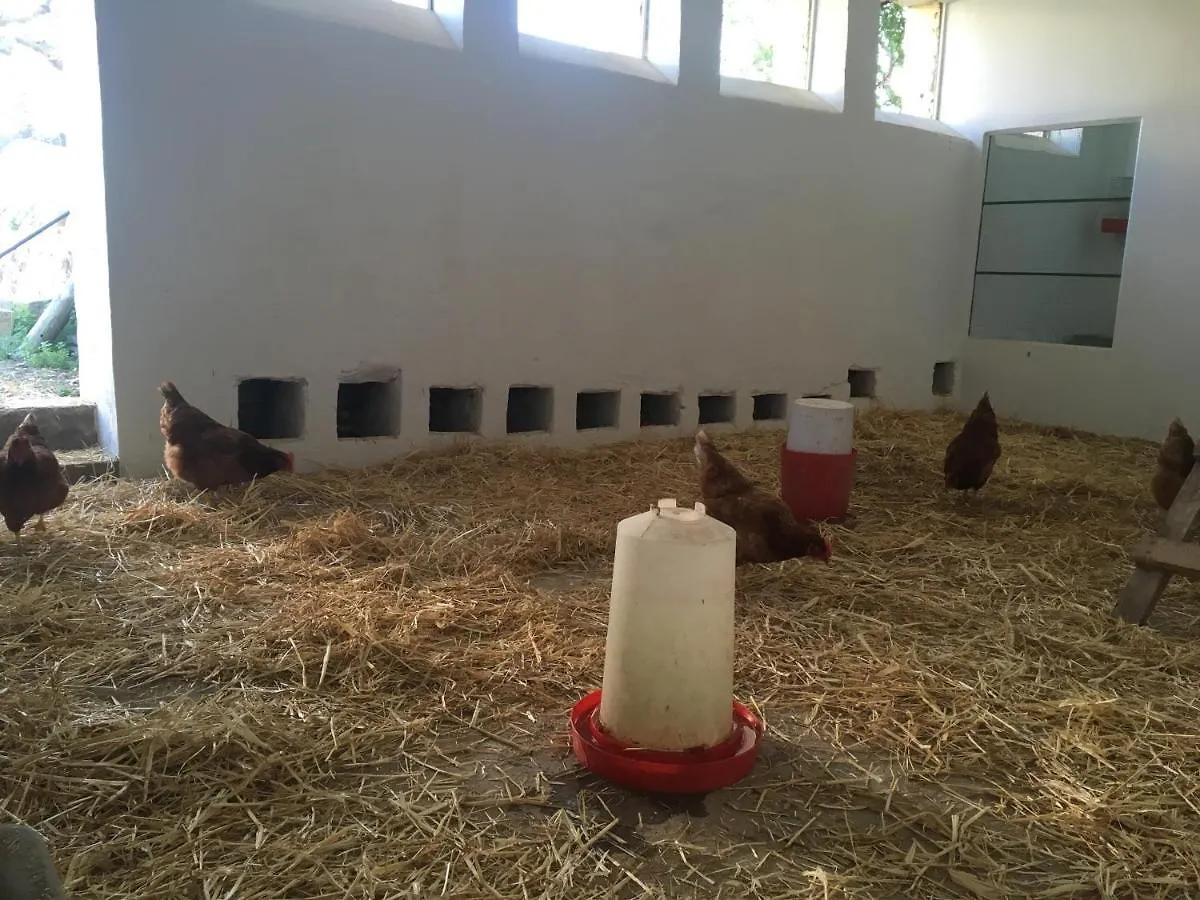Gospodarstwo wiejskie Casa Rural Monterrey Aroche