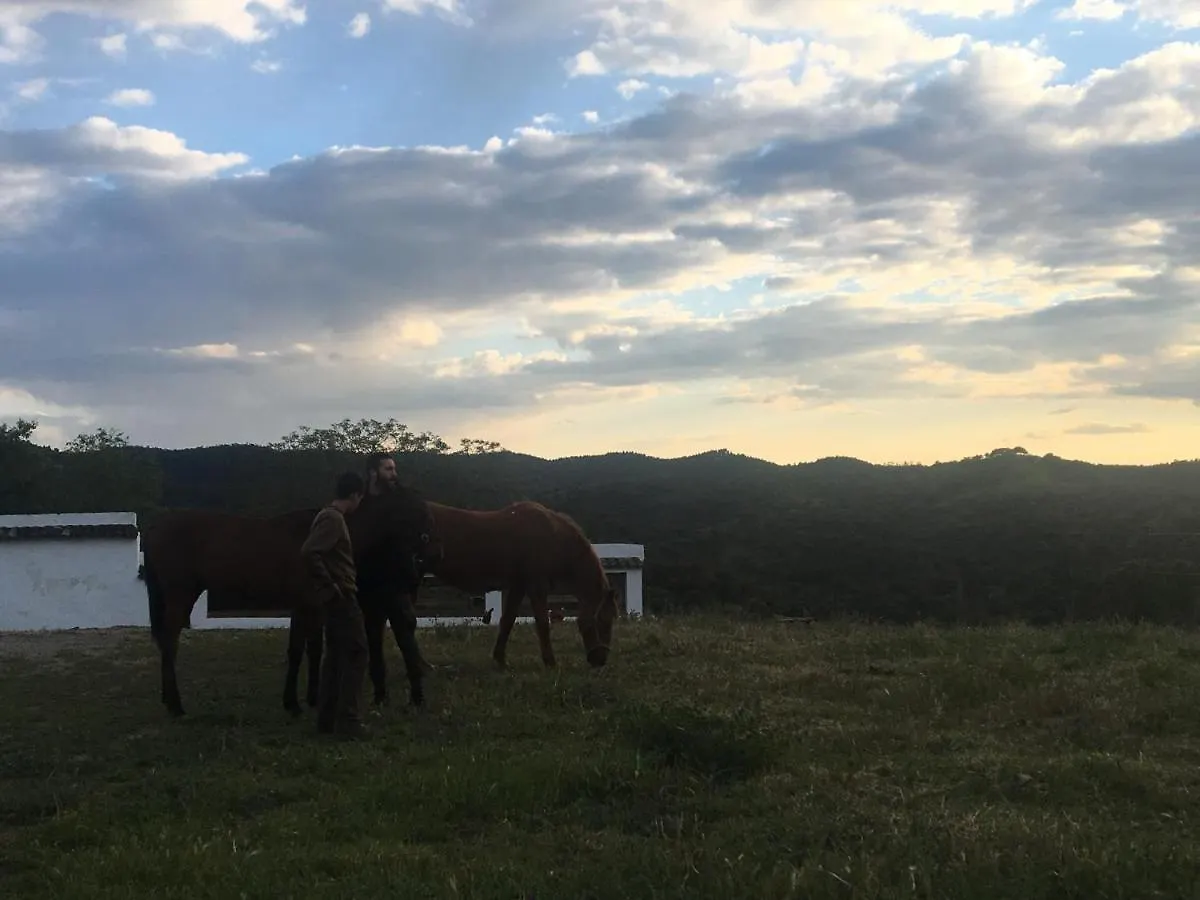 Gospodarstwo wiejskie Casa Rural Monterrey Aroche
